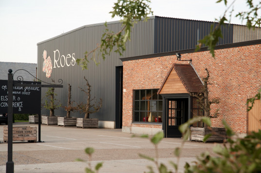 Roes 12